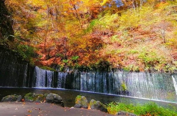 <新宿発・西船橋発> 天下の名湯!草津温泉たっぷり滞在21時間と秋色の軽井沢メルヘン紀行 2日間2